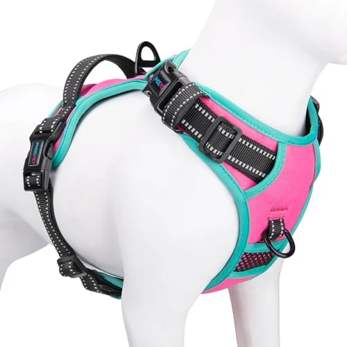 Offerta a tempo: Phoepet Pettorina per cani anti-tiro, regolabile, riflettente, con maniglia da addestramento + 2 ganci per guinzaglio in metallo + 3 fibbie a scatto + 4 fibbie scorrevoli (M, rosa) - 51% da 23.58 € a 11.63 €