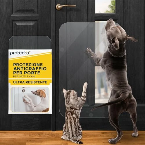 Tijdelijke aanbieding: PROTECTO Deurkrasbeschermer Premium Hondendeuropening voor binnen & buiten gebruik - Helder (75 x 50 cm) van 31.90 € naar 31.90 € (0.00% korting)