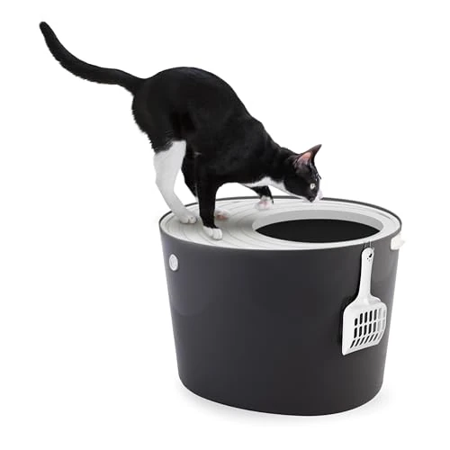 Limited offer: Iris Ohyama, Cat Litter Box, Closed cat Toilet House, clumping cat Litter, Removable, Plastic (PP) BPA-Free, Scoop, L53 x W41 x H37 cm, PUNT-530, Gray from 37.99 EUR to 32.29 EUR (save 15%)