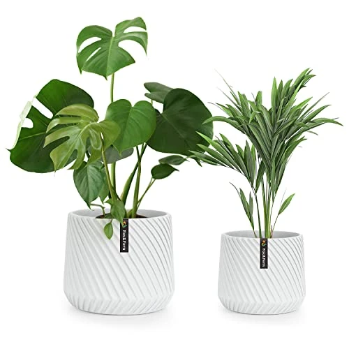 Oferta limitada: Fox&Fern Maceta Grande para Interiores y Exteriores, Maceta Resistente a Rayos UV y Heladas, Macetero Decorativo Interior Plantas y Flores, Tapón Drenaje, Macetas Exterior Grandes Polipiedra de 33.87 € a 32.18 € (ahorro 5%)