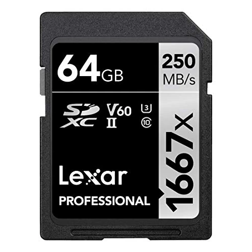 Lexar Professional 1667x Scheda SD 64 GB, Scheda di memoria SDXC UHS-II, Fino a 250 MB/s di lettura, Class 10, U3, V60, SD per Fotografi Professionisti, Videografi, Appassionati (LSD64GCB1667)
