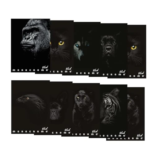 Limited-time offer: Pigna Maxi Notebook Monochrome Black 02303375M - Rigatura 5M - Pack of 10 exercise books. from 27.48 GBP to 27.48 GBP (save 0%)