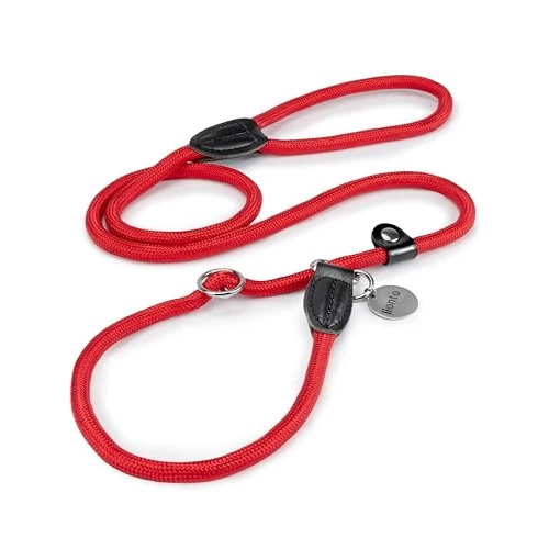Offerta a tempo: lionto Guinzaglio Retriever Guinzaglio per Cani Guinzaglio Formazione Cani, Lunghezza 120 cm Rosso - 21% da 13.95 € a 10.96 €