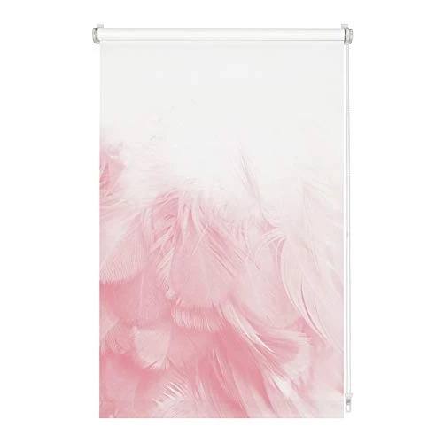 Limited-time offer: GARDINIA Digiprint Roller Blind, Feathers, Interlocking Fastening, Digital Print, Matte, Incl. Mounting Material, White/Pattern, 80 x 150 cm (W x H) from 33.80 £ to 33.80 £ (save 0.0%)