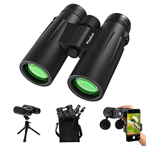 Limited offer: Compact Powerful for Adults Kids for Outdoors Sports Traveling Sightseeing Bird Watching Folding Lightweight (Black, 30) from 49.99 EUR to 49.99 EUR (save 0%)