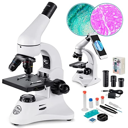 Tijdelijke aanbieding: Metallic 2000 x dubbele oculairs WF professionele optische microscoop, 80 x 2000 x handleiding in het Frans en EU-stekker voor kinderen en volwassenen van 119.00 € naar 119.00 € (0.00% korting)