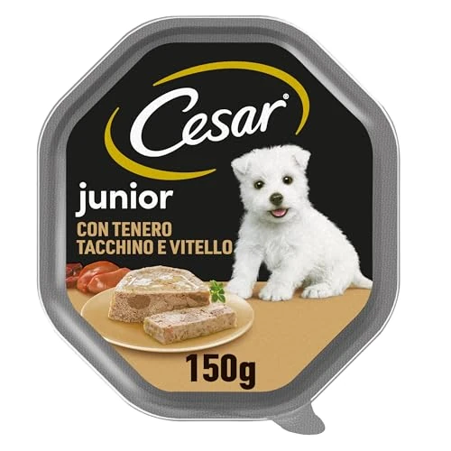 Oferta limitada: Cesar Comida Húmeda en gelatina para Perros Cachorros Sabor Pavo y Ternera (Pack de 14 Tarrinas x 150g) de 25.06 € a 23.80 € (ahorro 5%)