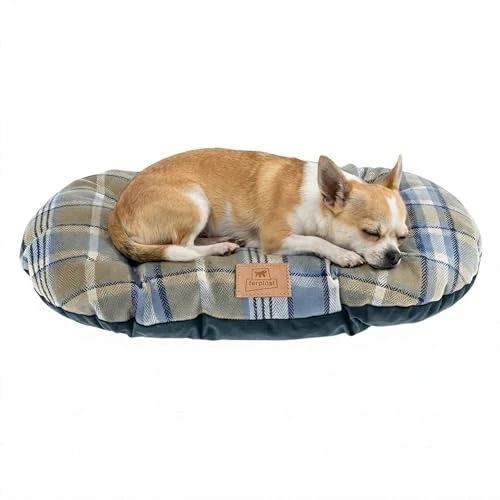 Offerta a tempo: Ferplast Cuscino imbottito per cani e gatti SCOTT 45/2, Double-face, Scozzese, Soffice velluto, Lavabile, Blu - 35% da 16.90 € a 10.94 €