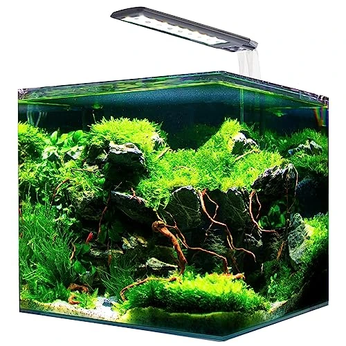 AMTRA NANOTANK System 60 - Glasaquarium komplett mit LED-Licht und Filter/cm 38x38x43 / 60 Liter