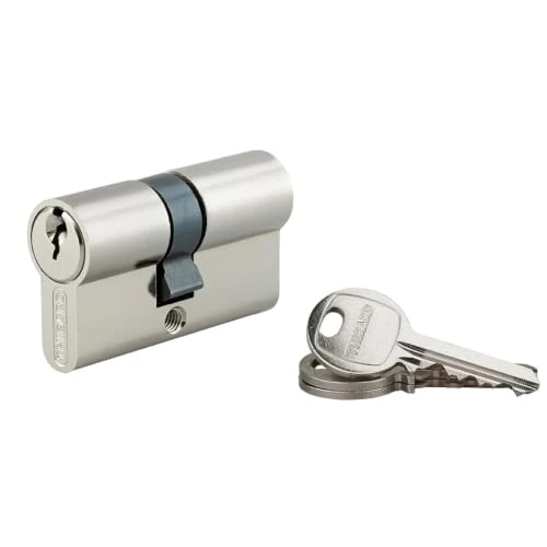 Offre limitée : THIRARD, SA, Cylindre de serrure double entrée, 25 x 30 mm, Nickel, 3 clés de 11.50 € à 11.50 € (0.00% de remise)