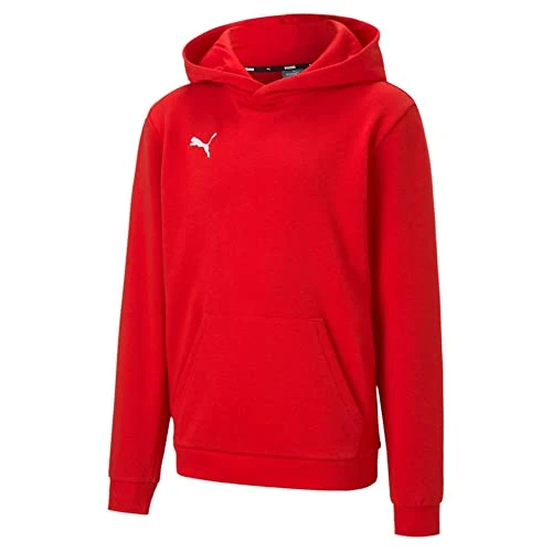 Oferta limitada: Puma Sudadera con Capucha Unisex para Adultos, TeamGOAL 23 Casuals Jr, XS de 39.95 € a 22.73 € (ahorro 43%)
