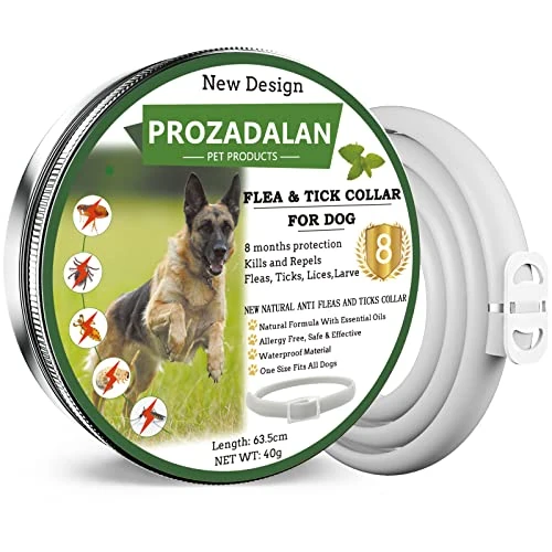 Offerta a tempo: Collare Antipulci e Zecche Regolabile Impermeabile, Antiparassitario per Tutti i Tipi di Cani, 8 Mesi di Efficacia Protezione, 63cm Taglia Unica (1pack) - 27% da 12.99 € a 9.49 €