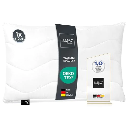 Begrenztes Angebot: LILENO HOME Kopfkissen 40x60 cm [1er Set] als Kissen-Füllung - Bett oder Deko Kissen mit Reißverschluss zum Anpassen - Waschbar bis 95° - Sofa-Kissen & Zierkissen für Couch/Bett von 7.49 EUR auf 7.49 EUR (Rabatt 0%)
