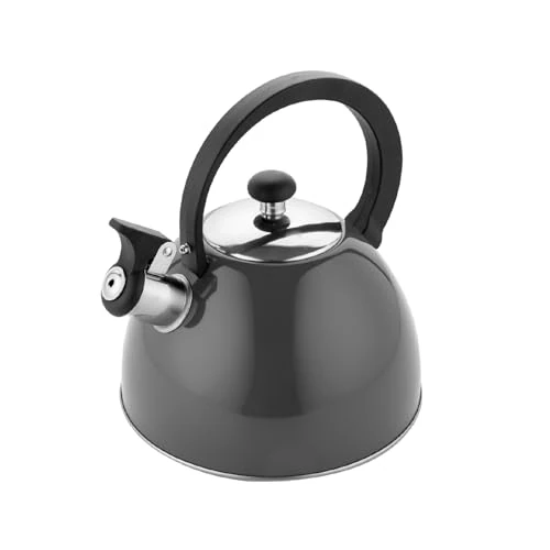FLORINA - Bouilloire Inox (2,5 l) I Bouilloire Sifflante BRILLO I Poignée Résistante à la Chaleur I Bouilloire non Electrique I Bouilloire Induction, Gaz I Pour Thé et Café I Couleur: Gris