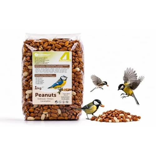 Offerta a tempo: Mangime uccelli selvatici - Qualità premium - arachidi sgusciate - 1kg - 0.00% da 5.99 € a 5.99 €