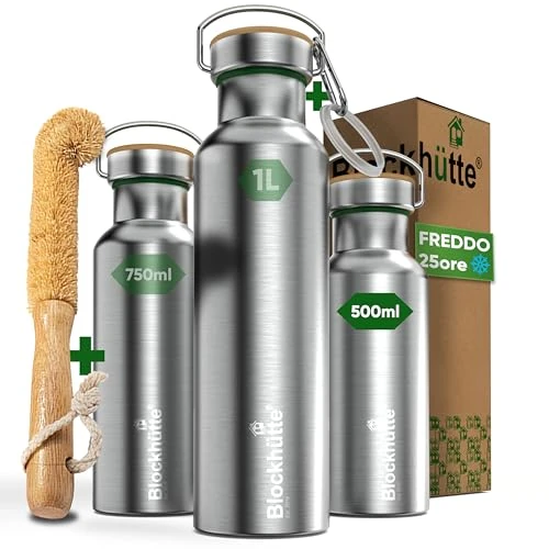 Oferta limitada: Blockhütte Botella Agua Acero Inoxidable I 500ml Botella de Agua, Cantimplora Acero Inoxidable I Water Bottle Apta para Lavavajillas I Garrafa Termica, Termo, para Deportes y Ocio de 23.97 € a 23.97 € (ahorro 0.00%)