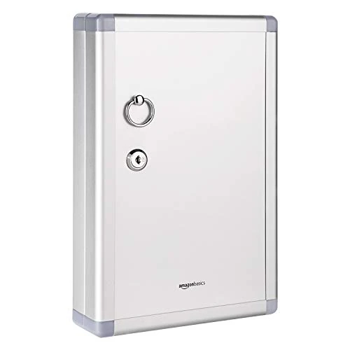 Offre limitée : Amazon Basics Armoire à avec 24 Clé emplacements, 31.5 x 21.59 x 6.2 cm, argenté de 18.99 € à 16.14 € (15% de remise)