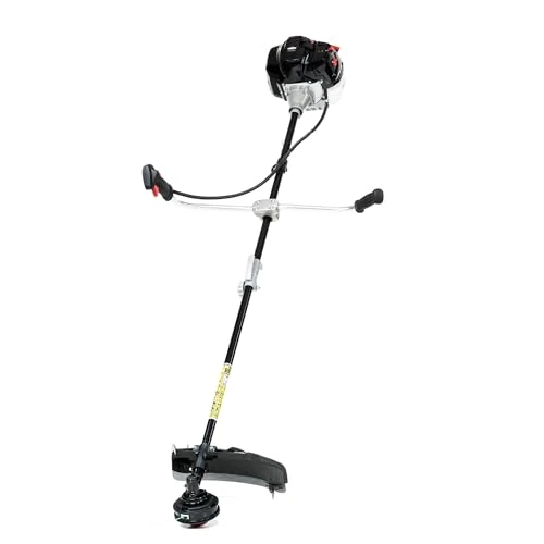 Oferta limitada: NAX Power Products 600B Motor 42,7 cm3 1,2 kW Briggs & Stratton Producto con Licencia, desbrozadora de Hierba, Recortadora Manual, nax600b de 169.00 EUR a 110.45 EUR (ahorro 35%)