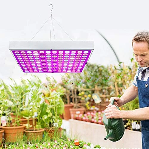 LED Groeilampen Tuinbouw Volledig spectrum Plantenlampen, Ideaal voor kweekkamer, Broeikas, Kamerplanten, Bloemen en Groenten, Zaaien, Bloeien en Resultaten (45W)
