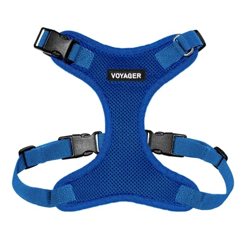Limited offer: Best Pet Supplies Voyager Step-In Lock Pet Harness – All Weather Mesh, Adjustable Step In Harness for Cats and Dogs by - Royal Blue (Matching Trim), XS (Chest: 11-16" * Fit Cats) from 9.80 EUR to 9.80 EUR (save 0%)