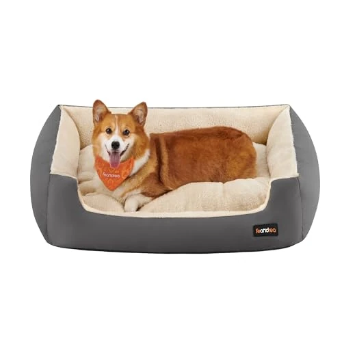 Tijdelijke aanbieding: FEANDREA Hondenbed, omkeerbaar kussen, 80 x 65 x 20 cm, donkergrijs PGW004G01 van 34.99 € naar 34.99 € (0.00% korting)