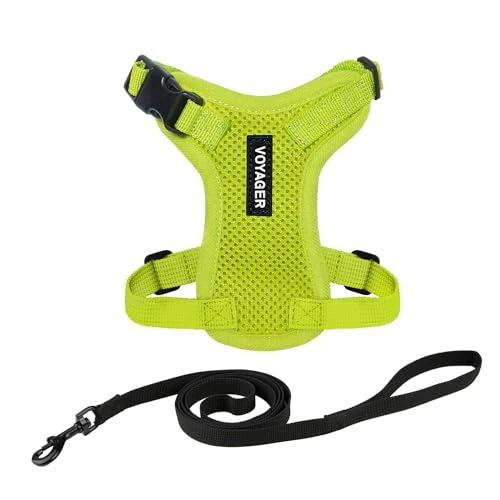 Oferta limitowana: Voyager Best Pet Supplies szelki dla zwierząt domowych, siatka na każdą pogodę, regulowana uprząż dla kotów i psów - limonkowa zieleń, XXS z 97.55 zł na 97.55 zł (oszczędź 0.00%)