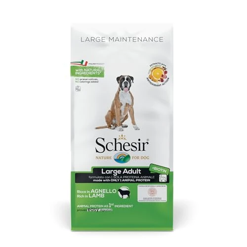 Schesir Dog L Manteinance 12 kg Jagnięcina