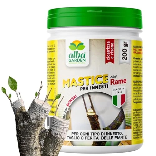 Offerta a tempo: Albagarden - Mastice Per Innesti E Potature ++ Con Rame ++ Antibatterico Pasta Cicatrizzante Curativa Per Ferite Piante Alberi Arbusti Kit Bonsai X 200 Gr - 0.00% da 9.90 € a 9.90 €