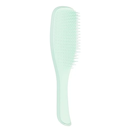 Offre limitée : Tangle Teezer | La brosse à cheveux démêlante humide fine et fragile pour cheveux humides et secs | Cheveux colorés, fins et fragiles | Jade Lagoon de 15.10 € à 15.10 € (0.00% de remise)