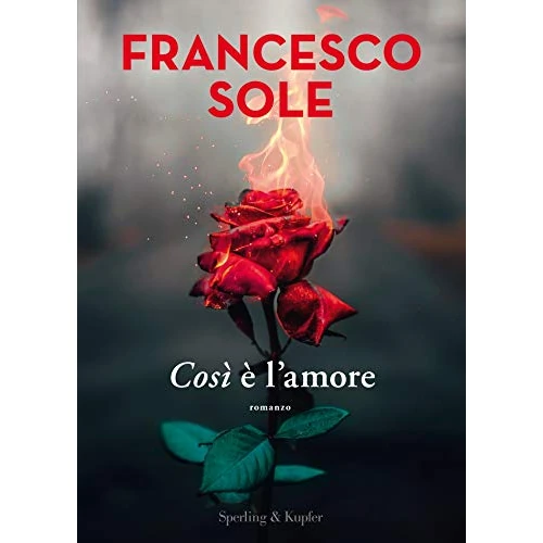 Così è l'amore (Italian Edition)