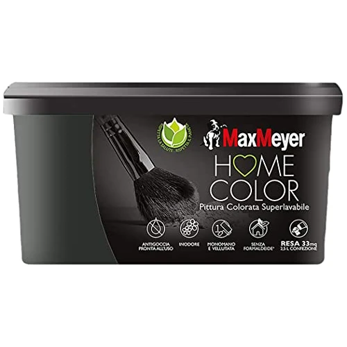 Oferta limitada: MAXMEYER 165313F500005 - Pintura de colores superlavable, color negro, 2,5 l (paquete de 1) de 44.26 € a 44.26 € (ahorro 0.0%)