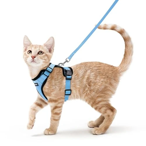 Limited-time offer: rabbitgoo Cat Harness and Lead Set, Escape Proof Kitten Harness with Leash, Metal Ring, Lightweight Soft, Reflective Adjustable Vest for Small Cat Walking Travel XS (Pack of 1), Sky blue from 17.99 GBP to 17.99 GBP (save 0%)