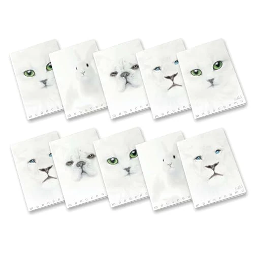 Pigna cuaderno maxi monocromo blanco, A4, papel interior 100g/m², 72 páginas, cubierta de cartón, acabado brillante/mate, interior 0B, rayado para tercer curso de primaria, motivos variados, 10 unidad