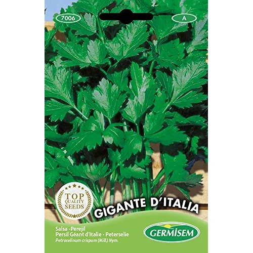 Germisem Gigante D'Italia Parsley Seeds 10 g