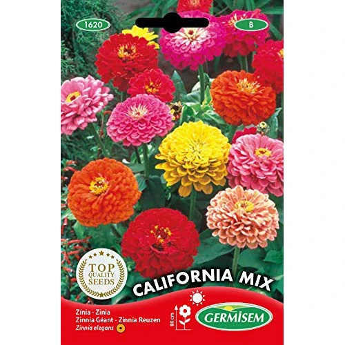 Offre limitée : Germisem California Mix Graines de Zinnia 2 g EC1620 Multicolore de 5.35 € à 5.35 € (0.00% de remise)