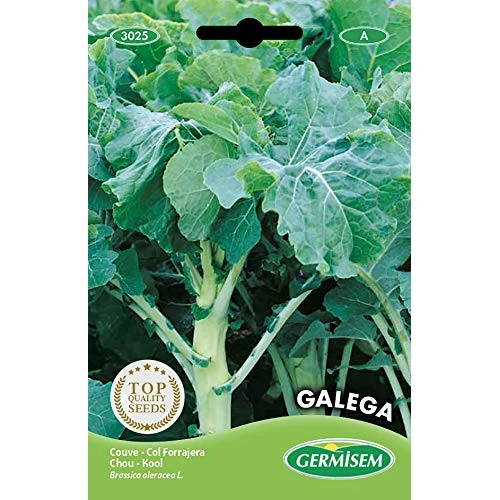 Germisem Galega Cabbage Seeds 5 g EC3025 Multicolour