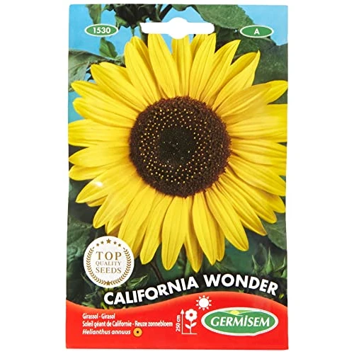 Offre limitée : Germisem Graines Soleil géant de Californie CALIFORNIA WONDER de 5.95 € à 5.95 € (0.00% de remise)