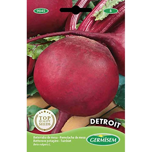 Germisem Detroit Beet Seeds 5 g