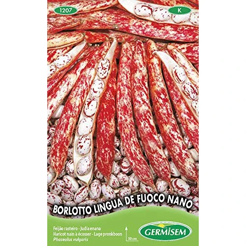 Offre limitée : Germisem Borlotto Lingua de Fuoco Nano Graines de Haricots Français 100 g de 8.05 € à 8.05 € (0.00% de remise)
