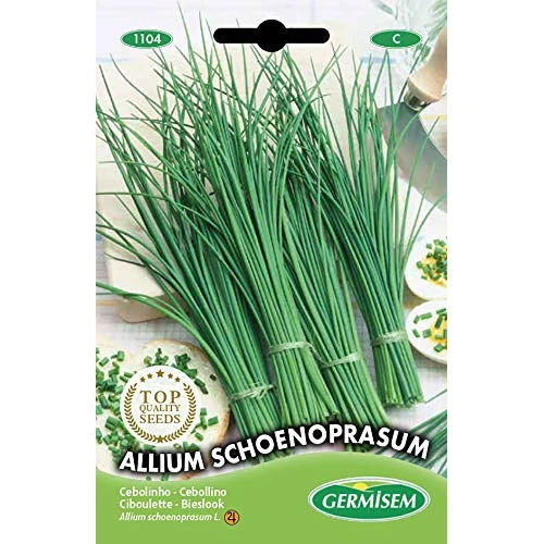 Offerta a tempo: Germisem Allium Schoenoprasum Semi di Erba Cipollina 2 g - 0.00% da 8.10 € a 8.10 €