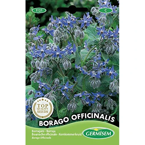 Offerta a tempo: Germisem Borago Officinalis Semi di Borragine 2 g - 15% da 10.12 € a 8.60 €