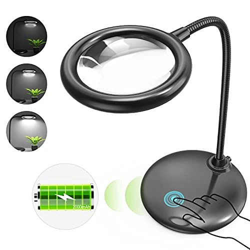 Oferta limitada: Raweao 5X Lupa con Luz, Recargable Lampara Lupa Led Profesional con Soporte, Lupas de Gran Aumento con Luz para Leer Coser Estetica Uñas (Negro) de 29.99 € a 29.99 € (ahorro 0.00%)
