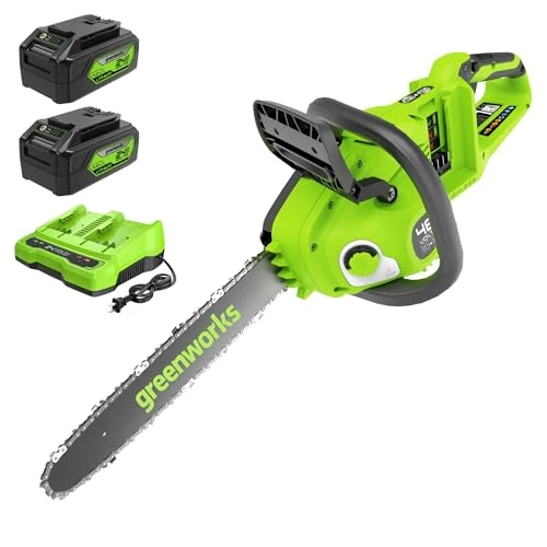 Offerta a tempo: Greenworks 48V (24V x 2) 35cm Motosega a Batteria con Motore Brushless, con due 4 Ah Batteries Caricabatterie Gemello,Velocità Catena 20m/s, Garanzia 3 Anni-GD24X2CS36K4X - 38% da 319.99 € a 199.99 €