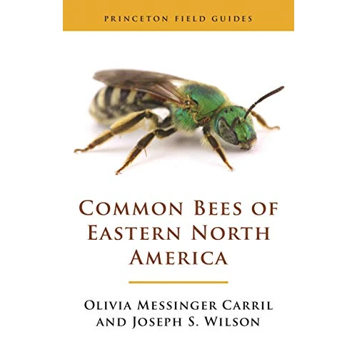 Common Bees of Eastern North America (Princeton Field Guides Book 151) (English Edition)
