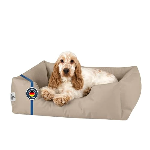 BedDog Washable Dog Bed Small - M Dog Beds for Small Dogs - Pet Bed - Dogs Beds Small- Dog Basket in Microfiber Velor and Cordura