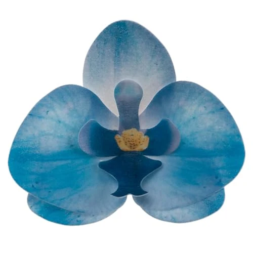 Offre limitée : dekora – Fleurs Comestibles pour Gâteau, 10 Gaufrettes Orchidées bleues 8.5 x 7.5 cm, sans sucre, sans gluten, sans lactose, Décoration Gâteau pour Anniversaire, Mariage, Baptême de 13.10 € à 13.10 € (0.00% de remise)