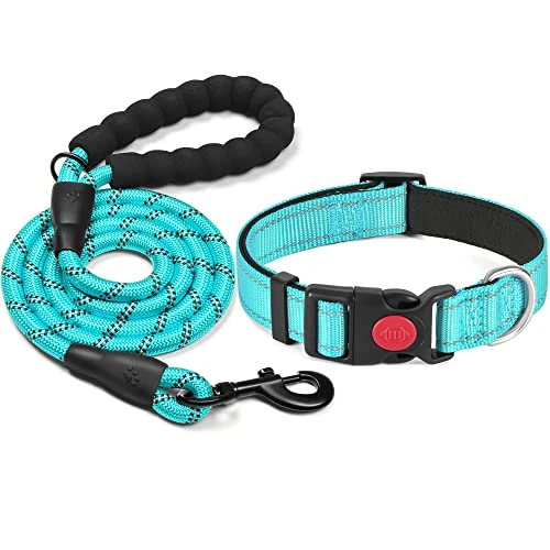 Zeitlich begrenztes Angebot: haapaw Reflektierendes Hundehalsband, gepolstert mit weichem Neopren, atmungsaktiv, verstellbar, Nylon, Hundehalsbänder für kleine, mittelgroße und große Hunde von 14.99 € auf 12.99 € (13% Rabatt)