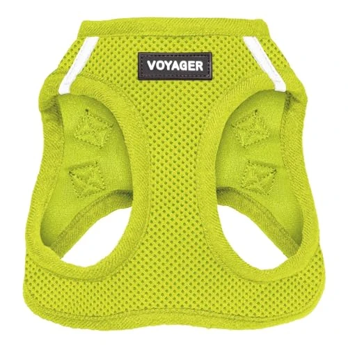 Offerta a tempo: Voyager Step-In Air Pettorina per Cani by Best Pet Supplies - Pettorina per cani di Piccola e Media Taglia in Rete Traspirante, Verde Lime, XS - Petto 33-37 cm - 0.00% da 15.27 € a 15.27 €