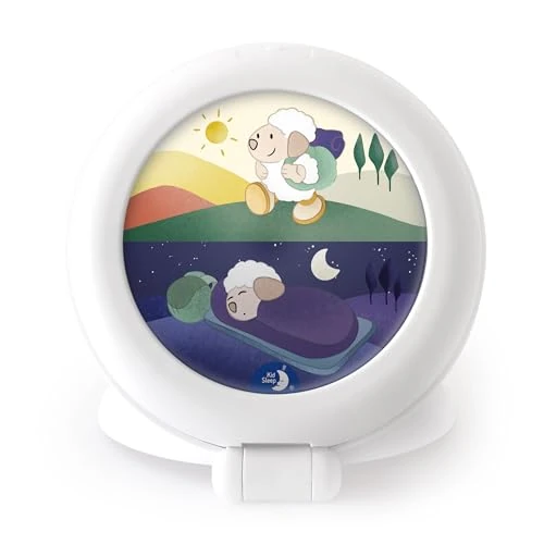 Oferta ograniczona: Pabobo - Dziecięcy budzik edukacyjny na dzień - noc przenośny podróżny globtroter 2-3 lata z 136.38 EUR na 136.38 EUR (znizka 0%)