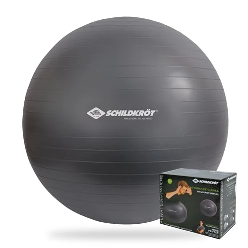 Offerta a tempo: Schildkröt Ballon de Gymnastique pour Adulte 65 cm, Argenté - 0.00% da 29.99 € a 29.99 €